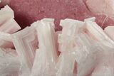 Pink Halite Crystals - Trona, California #239352-2